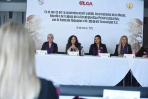 Renovación del poder judicial será paritario, participación de abogadas esencial para la democracia: Senadora Olga Sosa.